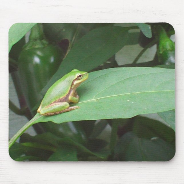 Tapis De Souris grenouille d'arbre dans les poivrons (Devant)