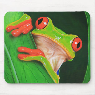 Tapis De Souris Grenouille d'arbre observée par rouge
