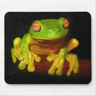 Tapis De Souris Grenouille d'arbre observée par rouge