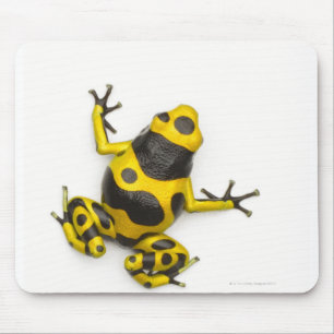 Tapis De Souris Grenouille de dard de poison de bourdon