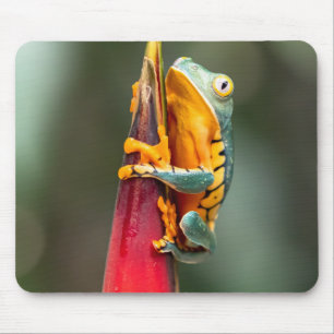 Tapis De Souris Grenouille de singe à pattes de tigre Vert Orange