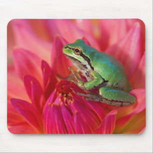 Tapis De Souris Grenouille des arbres du Pacifique sur les fleurs 