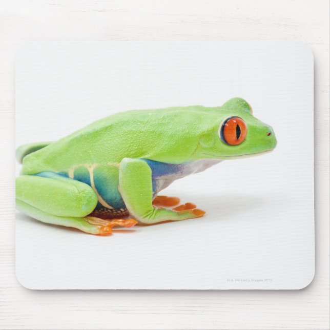 Tapis De Souris Grenouille des Arbres Rouges (Agalychnis Callidrya (Devant)