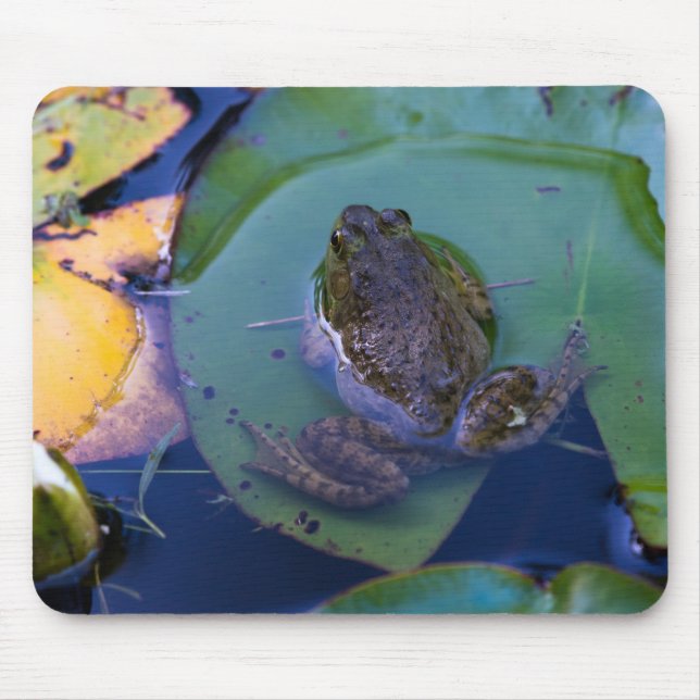 Tapis De Souris Grenouille en étang (Devant)