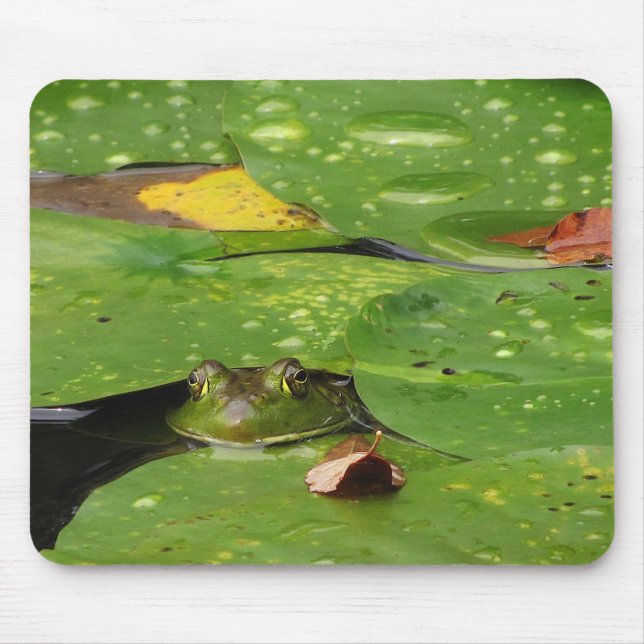 Tapis De Souris Grenouille et Lily Pads (Devant)