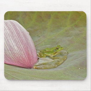 Tapis De Souris Grenouille et pétale de fleur de lotus, Chine,