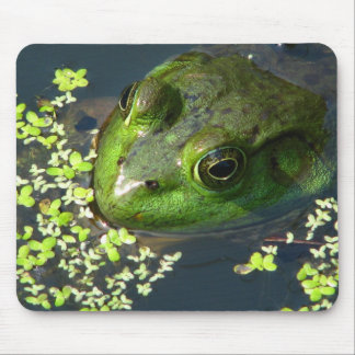 Tapis De Souris Grenouille Mousepad