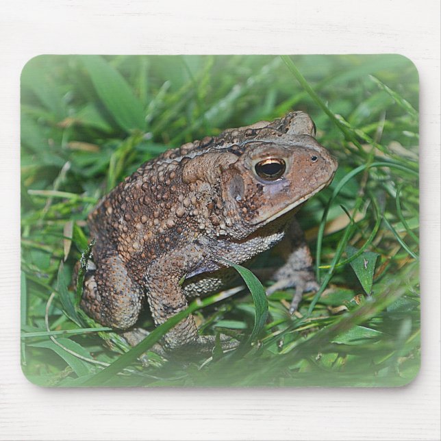Tapis De Souris Grenouille Mousepad (Devant)