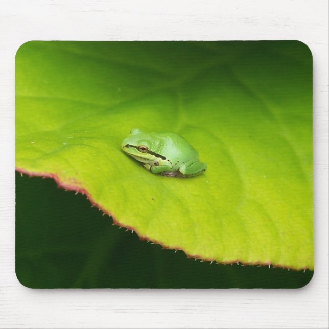 Tapis De Souris Grenouille Mousepad de Lil (Devant)