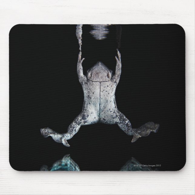 Tapis De Souris Grenouille nageuse (Devant)