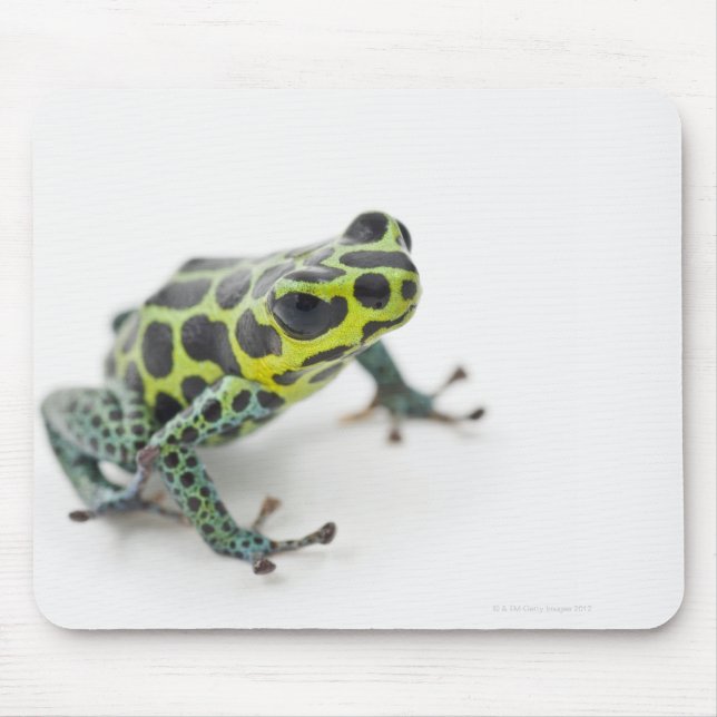 Tapis De Souris Grenouille noire Poison vert tacheté (Devant)