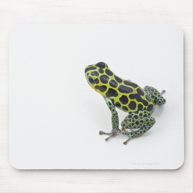Tapis De Souris Grenouille noire Poison vert tacheté (Devant)