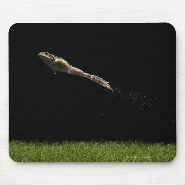 Tapis De Souris grenouille sautant de l'herbe verte fraîche (Devant)