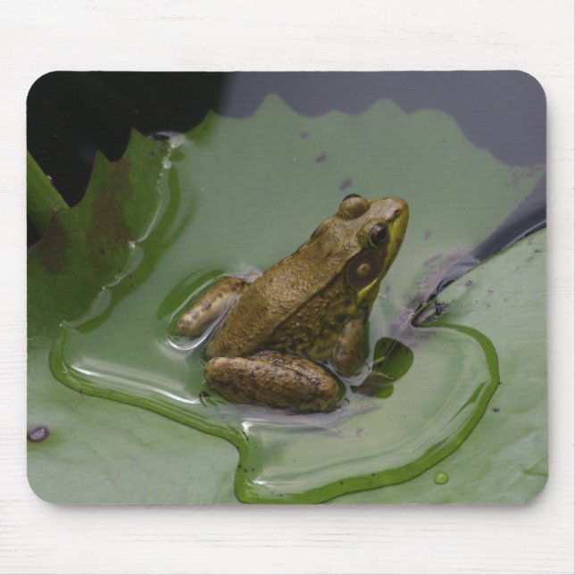 Tapis De Souris Grenouille sur la protection de lis (Devant)