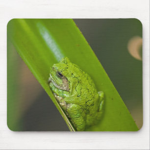 Tapis De Souris Grenouille sur une feuille verte
