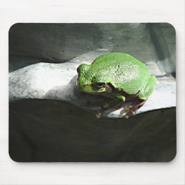 Tapis De Souris Grenouille verte (Devant)