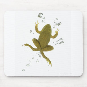 Tapis De Souris grenouille verte commune