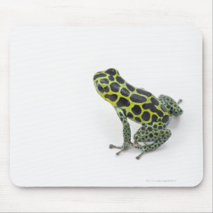 Tapis De Souris Grenouille verte de dard de poison repérée par