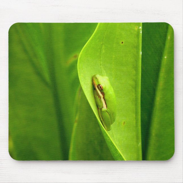 Tapis De Souris Grenouille verte endormie (Devant)
