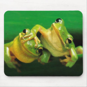 Tapis De Souris Grenouilles drôles