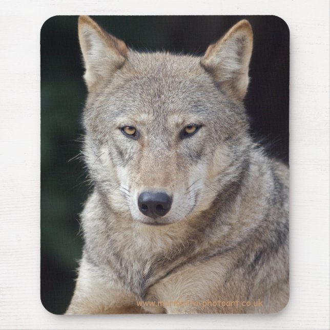 Tapis De Souris Grey Wolf Mousemat (Devant)