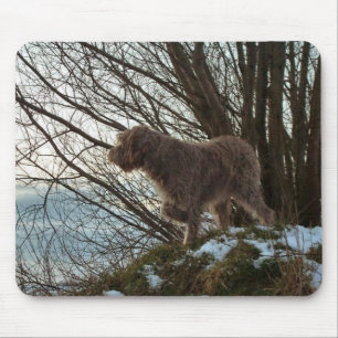 Tapis De Souris - Griffon de Korthals - pointage de Tsjip