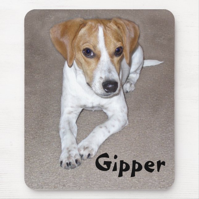 Tapis De Souris Griffonnage de Gipper (Devant)
