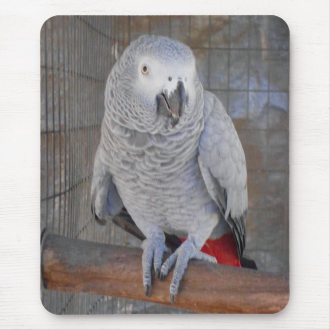 Tapis De Souris Gris africain "Rudy " (Devant)