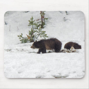 Tapis De Souris Grizzlis