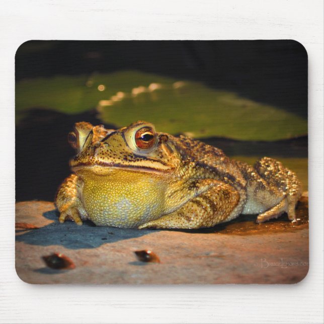 Tapis De Souris Gros crapaud gras (Devant)