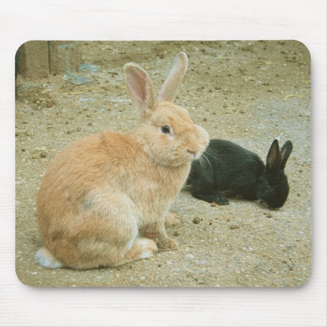 Tapis De Souris Gros Lapin Rouge (Devant)