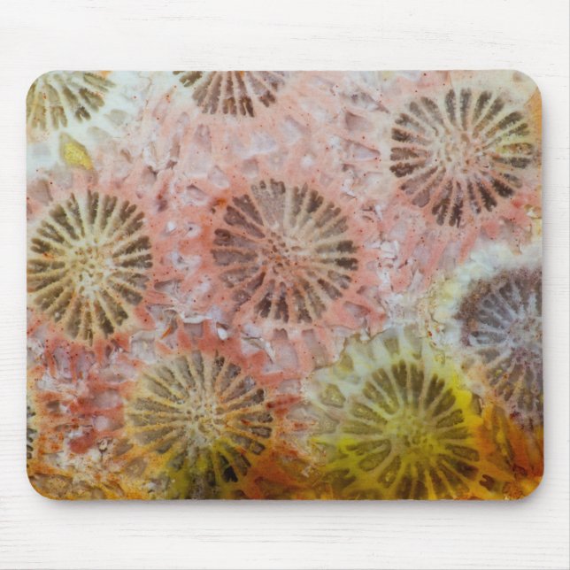 Tapis De Souris Gros plan de corail rose (Devant)