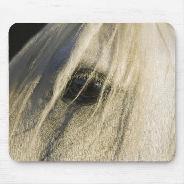 Tapis De Souris Gros plan de l'oeil du cheval (Devant)