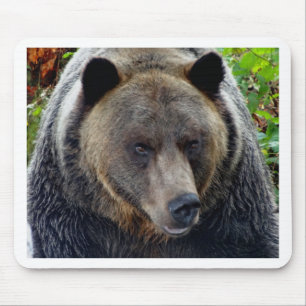 Tapis De Souris Gros plan de l'ours grizzli