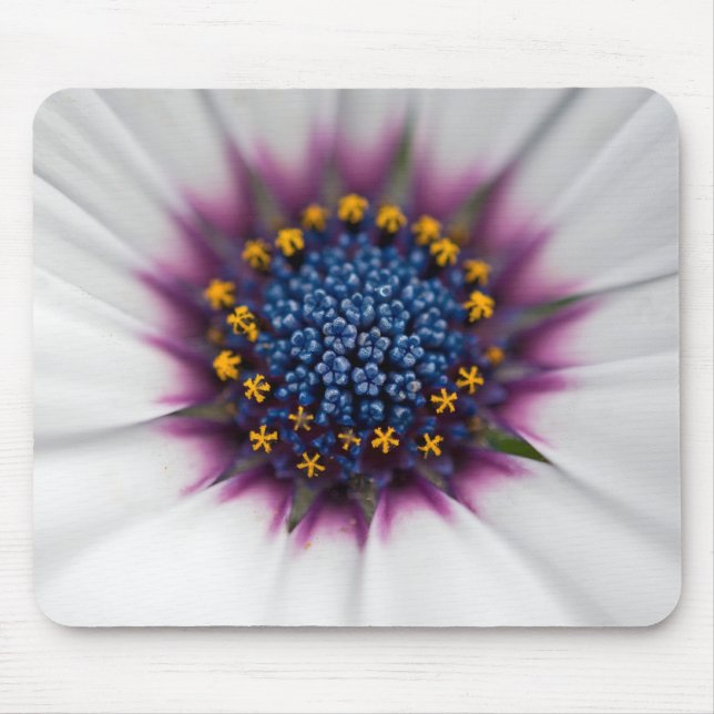 Tapis De Souris Gros plan de marguerite d'été (Devant)