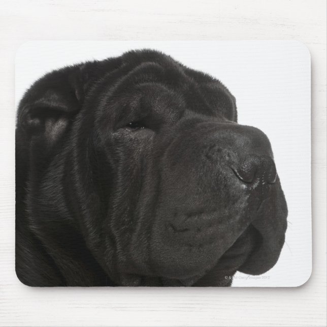 Tapis De Souris Gros plan de Shar Pei (1 an) (Devant)