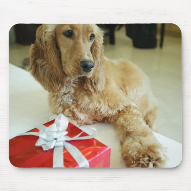 Tapis De Souris Gros plan d'un chien avec un cadeau (Devant)