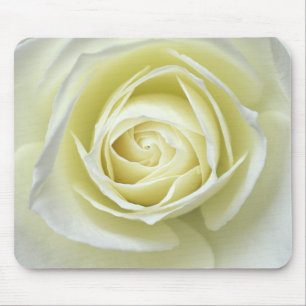 Tapis De Souris Gros plan sur la rose blanche