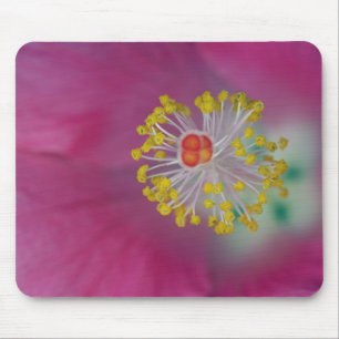 Tapis De Souris Gros plan sur l'étamine de fleur d'Hibiscus, Hibis