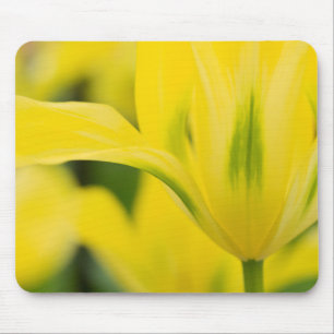 Tapis De Souris Gros plan sur tulipe 2