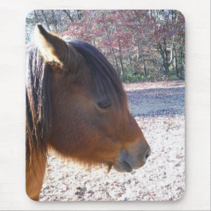 Tapis De Souris Gros plan sur un cheval brun, petit poney brun
