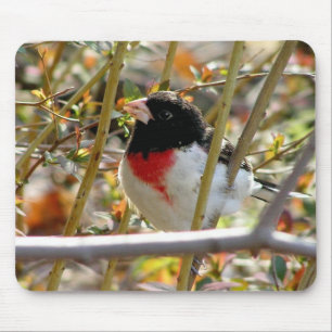 Tapis De Souris Grosbeak à poitrine rouge