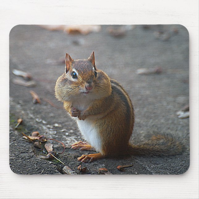 Tapis De Souris Grosses joues Mousepad (Devant)