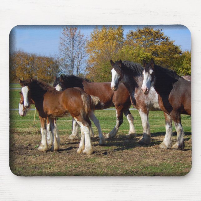 Tapis De Souris groupe de clydesdale (Devant)
