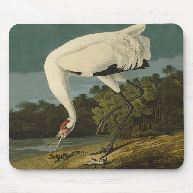 Tapis De Souris Grue blanche Audubon Peinture d'oiseaux (Devant)
