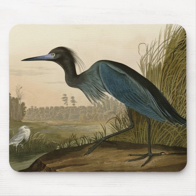 Tapis De Souris Grue bleue Héron Impression Audubon Art côtier (Devant)