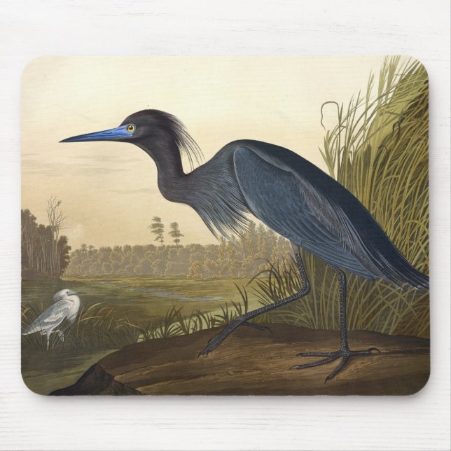 Tapis De Souris Grue Bleue Ou Heron Oiseaux D'Amérique John James (Devant)