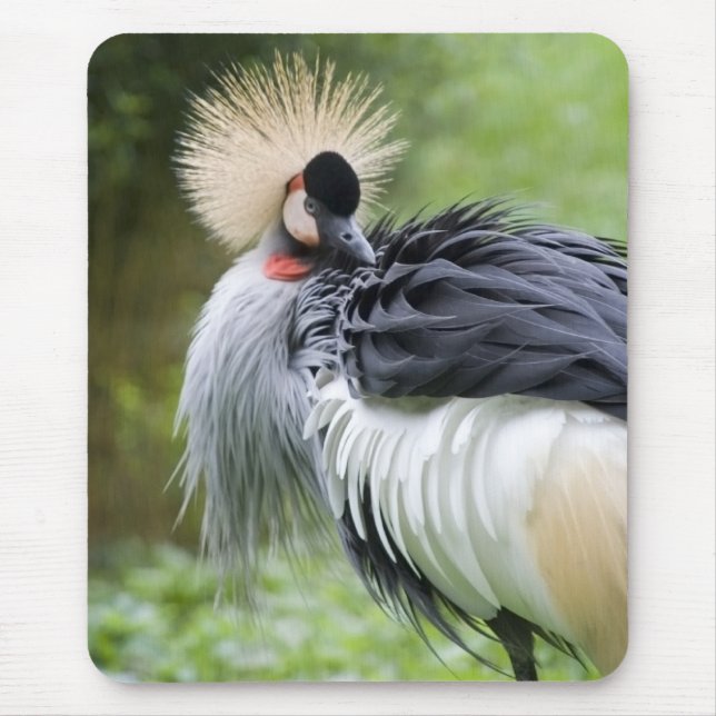 Tapis De Souris Grue couronnée par noir Mousepad (Devant)