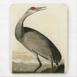 Tapis De Souris Grue de Sandhill d'Audubon's Birds of America