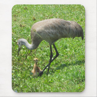 Tapis De Souris Grue et poussin de Sandhill